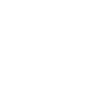 HAVAN logo